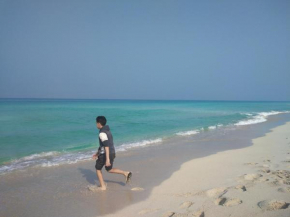 زهراء العجمي